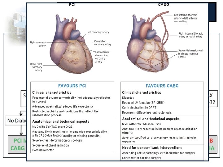 REVASCULARIZATION IN DIABETICS 