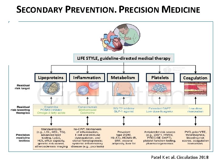 SECONDARY PREVENTION. PRECISION MEDICINE LIFE STYLE, guideline-directed medical therapy Lipoproteins Inflammation Metabolism Platelets Coagulation