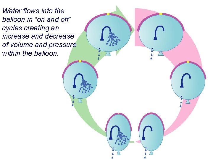 Water flows into the balloon in “on and off” cycles creating an increase and