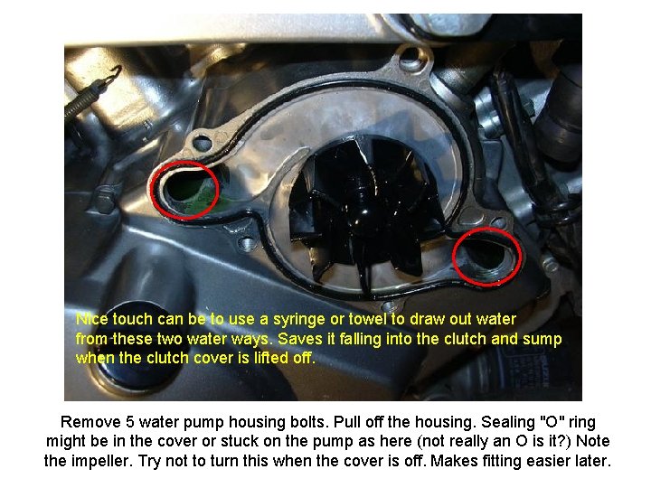 Nice touch can be to use a syringe or towel to draw out water