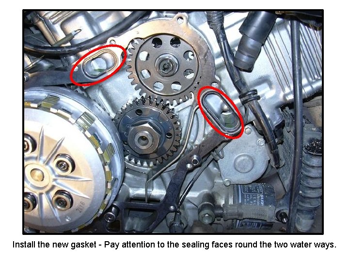 Install the new gasket - Pay attention to the sealing faces round the two