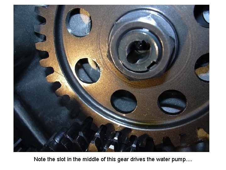 Note the slot in the middle of this gear drives the water pump. .