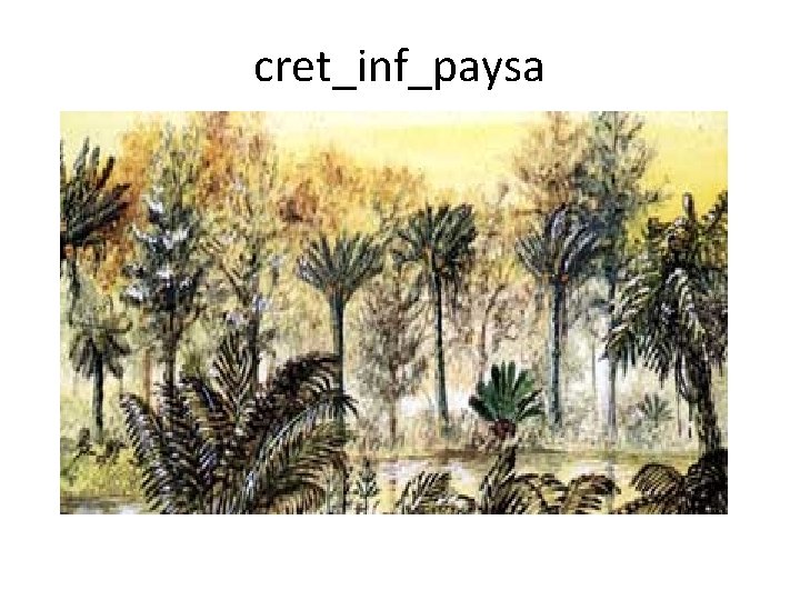 cret_inf_paysa 