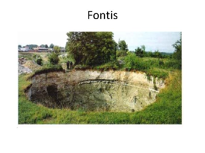 Fontis 