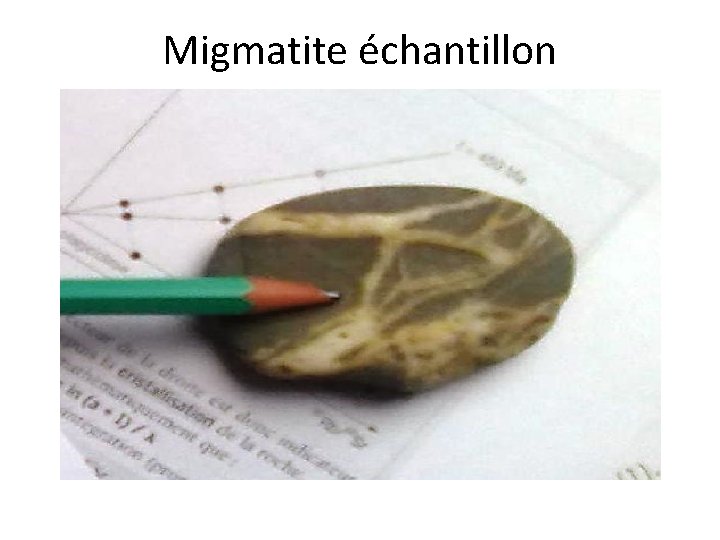 Migmatite échantillon 