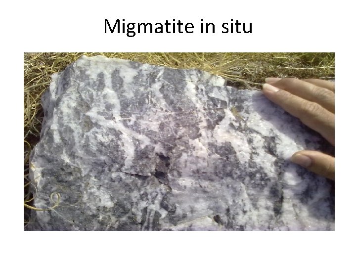 Migmatite in situ 