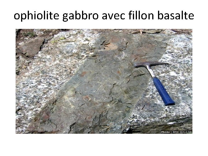 ophiolite gabbro avec fillon basalte 