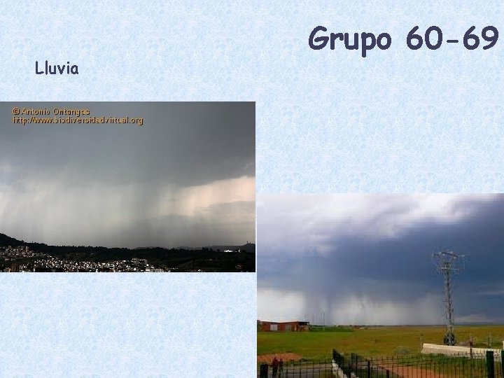 Lluvia Grupo 60 -69 