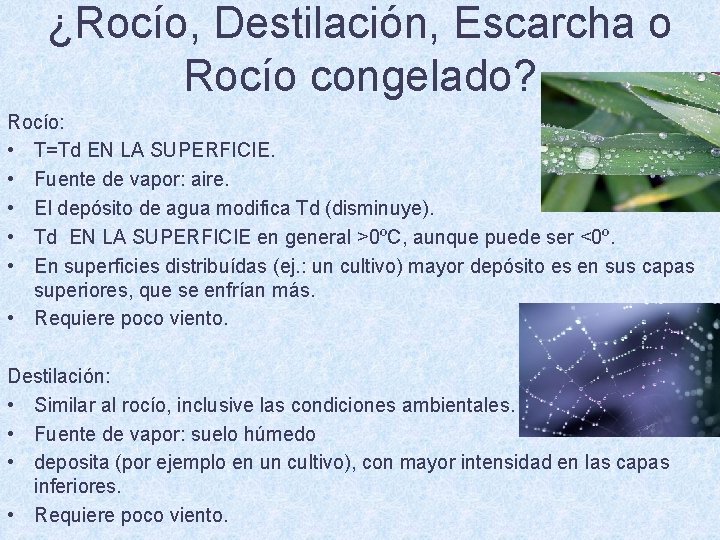 ¿Rocío, Destilación, Escarcha o Rocío congelado? Rocío: • T=Td EN LA SUPERFICIE. • Fuente