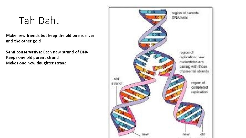 Tah Dah! Make new friends but keep the old one is silver and the