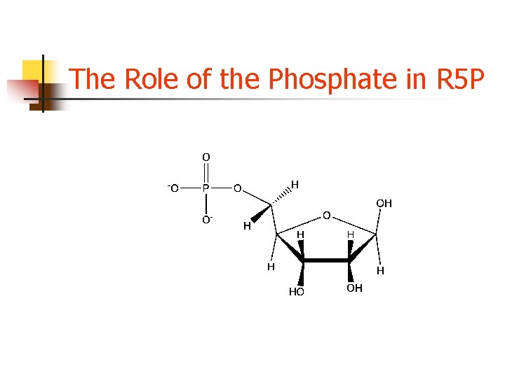 The Role of the Phosphate in R 5 P The Role of the Phosphate in R 5 P