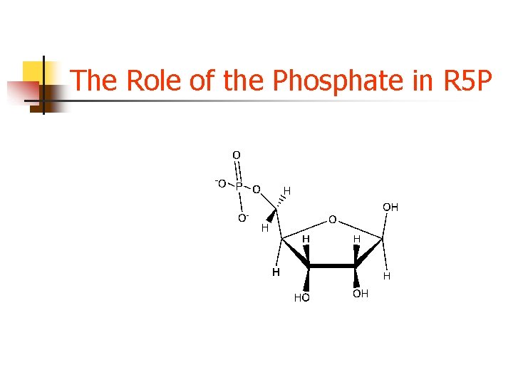 The Role of the Phosphate in R 5 P The Role of the Phosphate in R 5 P