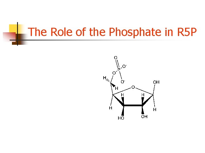 The Role of the Phosphate in R 5 P The Role of the Phosphate in R 5 P