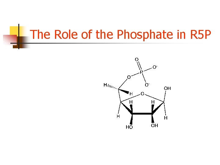 The Role of the Phosphate in R 5 P The Role of the Phosphate in R 5 P