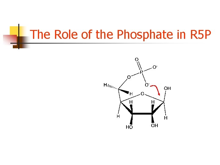 The Role of the Phosphate in R 5 P The Role of the Phosphate in R 5 P