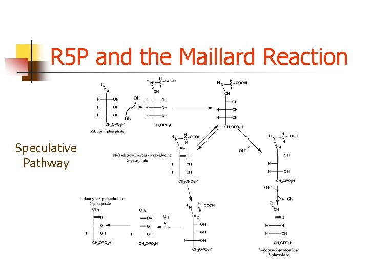 R 5 P and the Maillard Reaction Speculative Pathway R 5 P and the Maillard Reaction Speculative Pathway