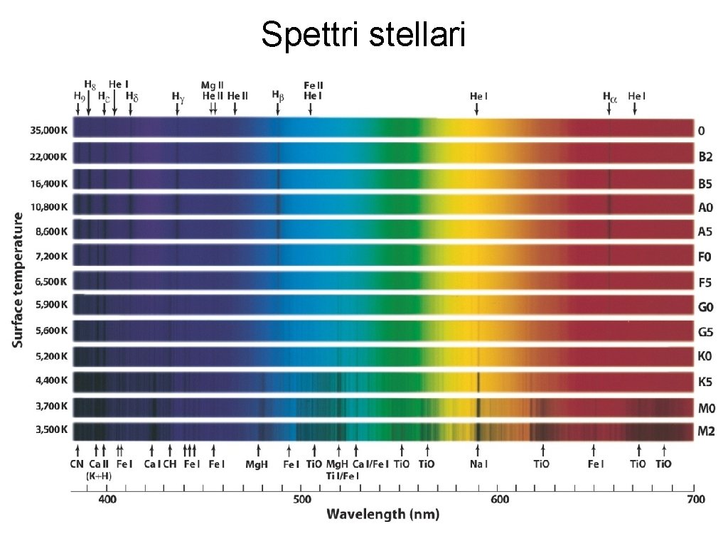Spettri stellari 