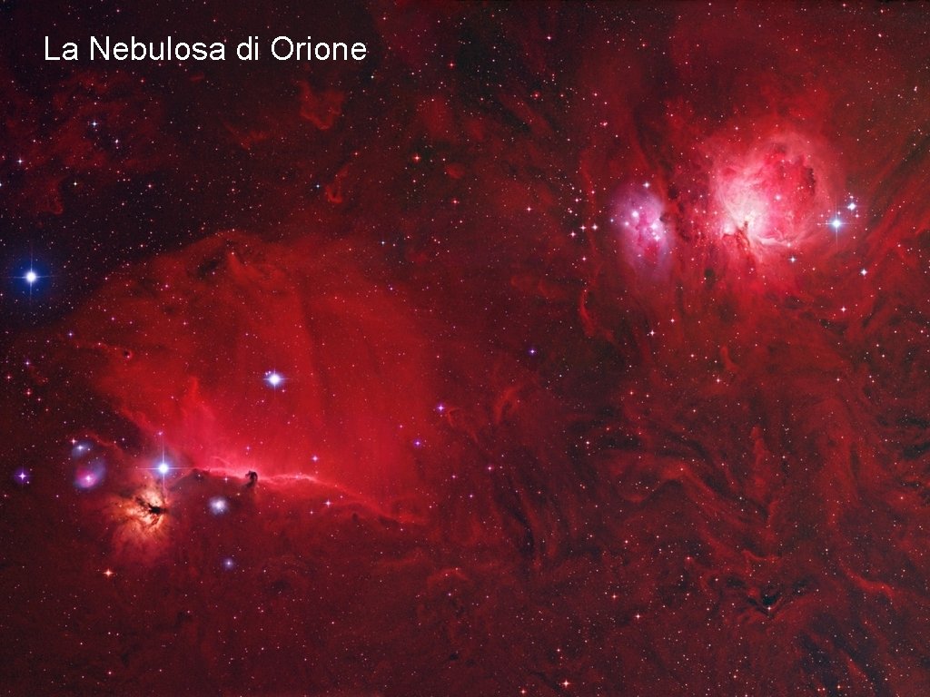 La Nebulosa di Orione 