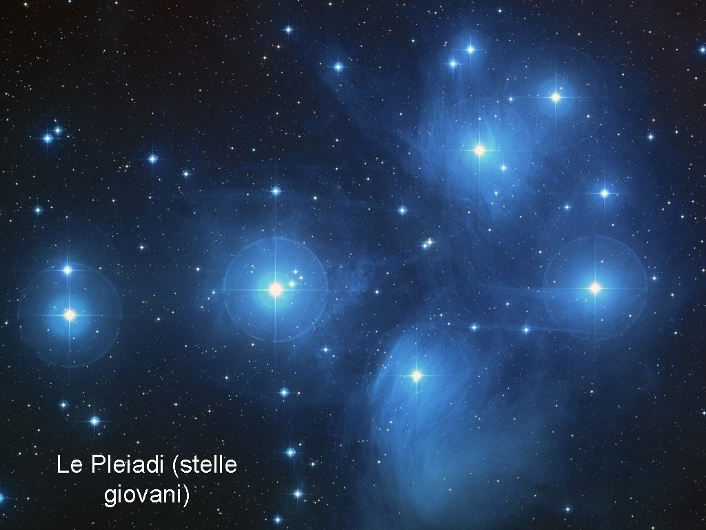 Le Pleiadi (stelle giovani) 