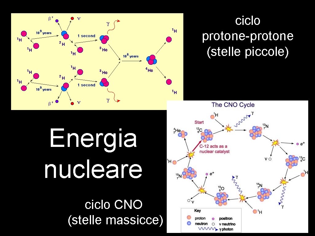 ciclo protone-protone (stelle piccole) Energia nucleare ciclo CNO (stelle massicce) 