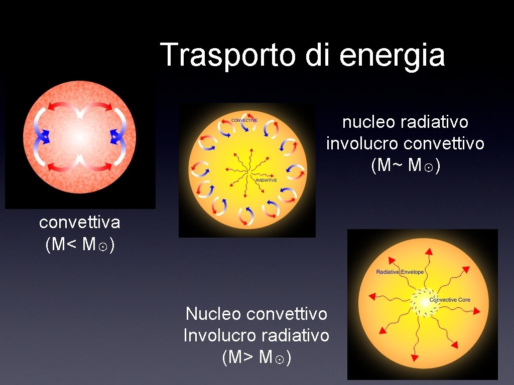 Trasporto di energia nucleo radiativo involucro convettivo (M~ M☉) convettiva (M< M☉) Nucleo convettivo