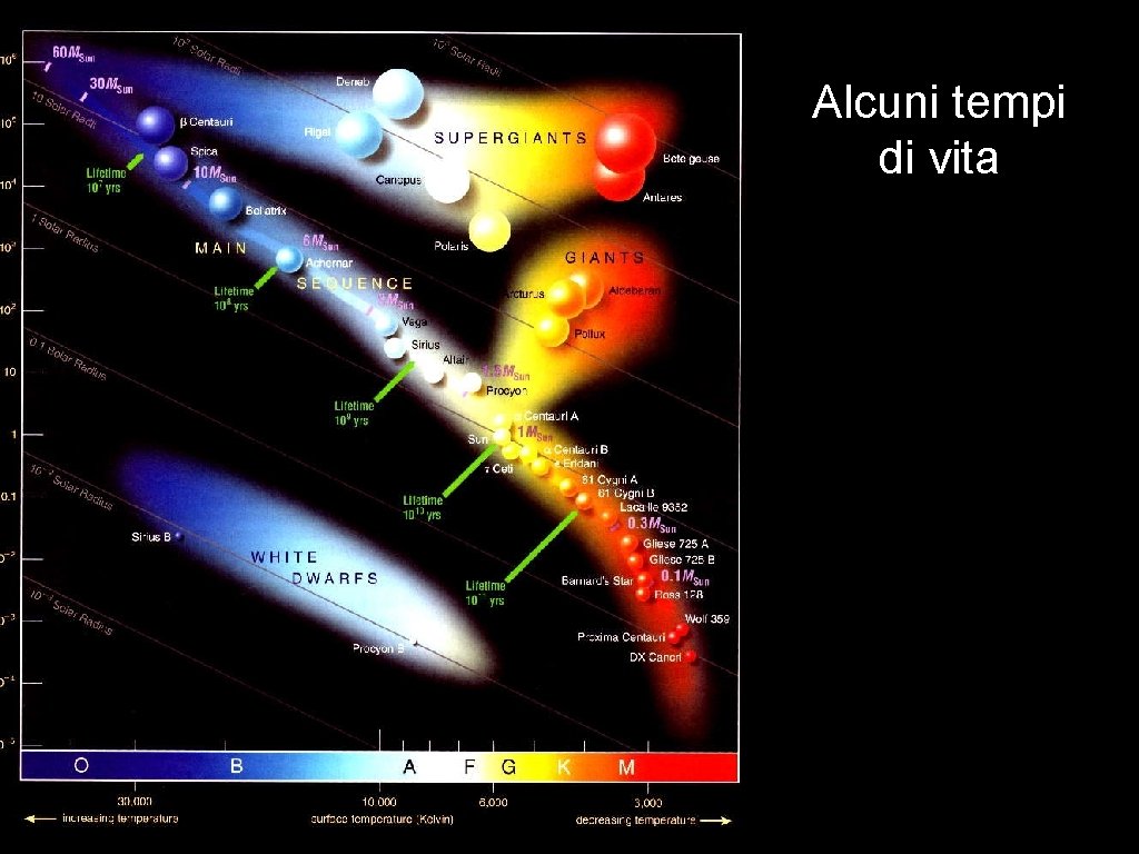 Alcuni tempi di vita 