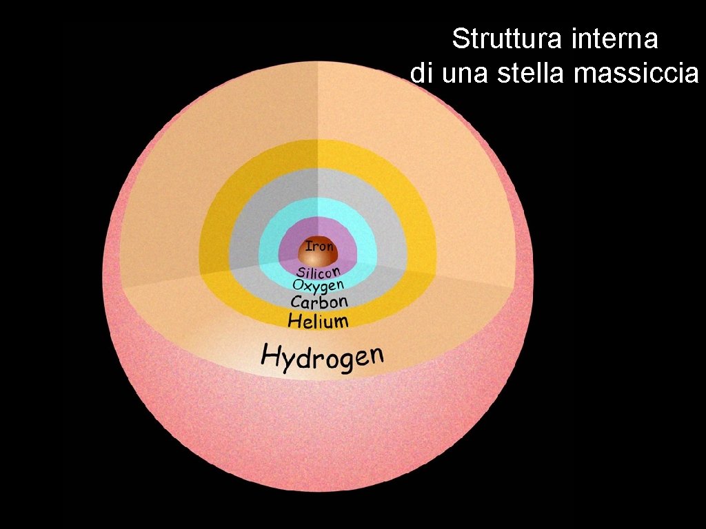 Struttura interna di una stella massiccia 