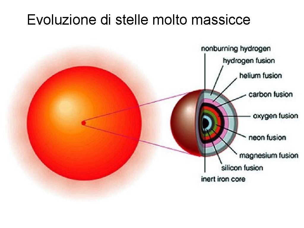 Evoluzione di stelle molto massicce 