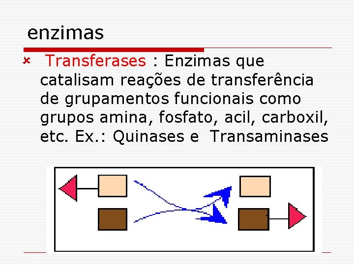 enzimas û Transferases : Enzimas que catalisam reações de transferência de grupamentos funcionais como enzimas û Transferases : Enzimas que catalisam reações de transferência de grupamentos funcionais como