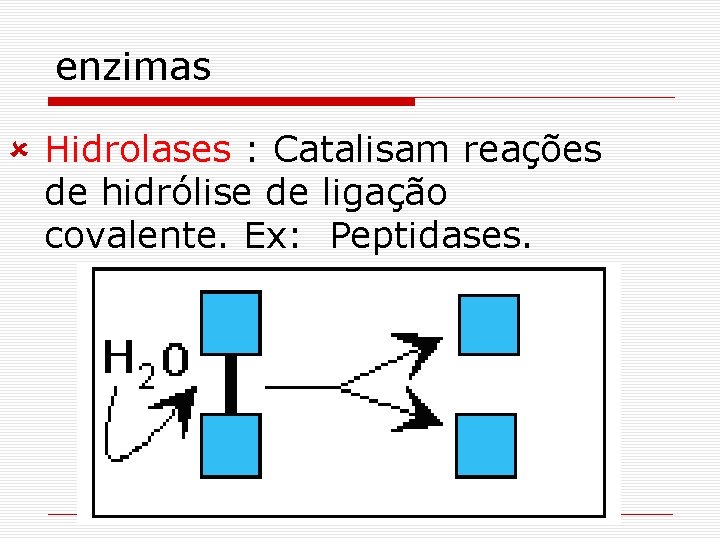 enzimas û Hidrolases : Catalisam reações de hidrólise de ligação covalente. Ex: Peptidases. enzimas û Hidrolases : Catalisam reações de hidrólise de ligação covalente. Ex: Peptidases.