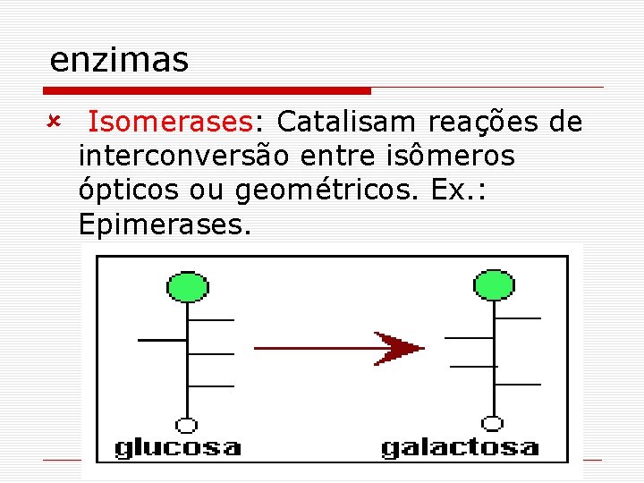 enzimas û Isomerases: Catalisam reações de interconversão entre isômeros ópticos ou geométricos. Ex. : enzimas û Isomerases: Catalisam reações de interconversão entre isômeros ópticos ou geométricos. Ex. :