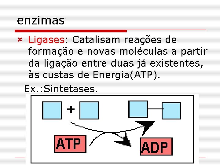 enzimas û Ligases: Catalisam reações de formação e novas moléculas a partir da ligação enzimas û Ligases: Catalisam reações de formação e novas moléculas a partir da ligação