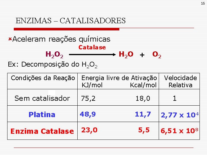 16 ENZIMAS – CATALISADORES ûAceleram reações químicas Catalase H 2 O 2 Ex: Decomposição 16 ENZIMAS – CATALISADORES ûAceleram reações químicas Catalase H 2 O 2 Ex: Decomposição
