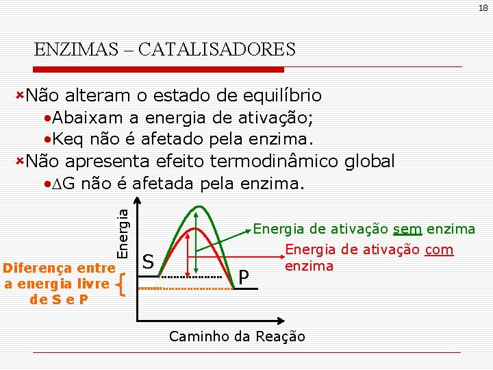 18 ENZIMAS – CATALISADORES Energia ûNão alteram o estado de equilíbrio • Abaixam a