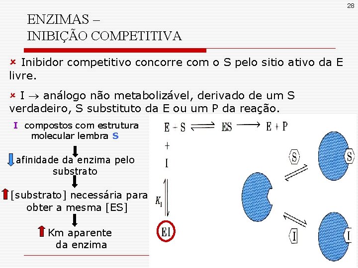 28 ENZIMAS – INIBIÇÃO COMPETITIVA û Inibidor competitivo concorre com o S pelo sitio