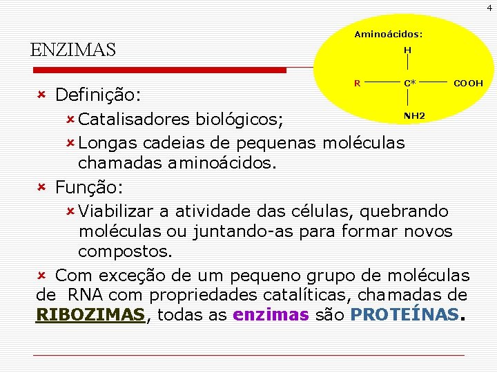 4 ENZIMAS Aminoácidos: H R C* û Definição: NH 2 û Catalisadores biológicos; û