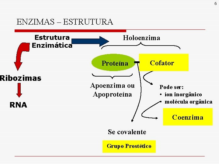 6 ENZIMAS – ESTRUTURA Estrutura Enzimática Holoenzima Proteína Ribozimas Cofator Apoenzima ou Apoproteína RNA 6 ENZIMAS – ESTRUTURA Estrutura Enzimática Holoenzima Proteína Ribozimas Cofator Apoenzima ou Apoproteína RNA
