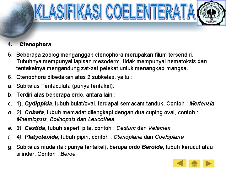 4. Ctenophora 5. Beberapa zoolog menganggap ctenophora merupakan filum tersendiri. Tubuhnya mempunyai lapisan mesoderm,