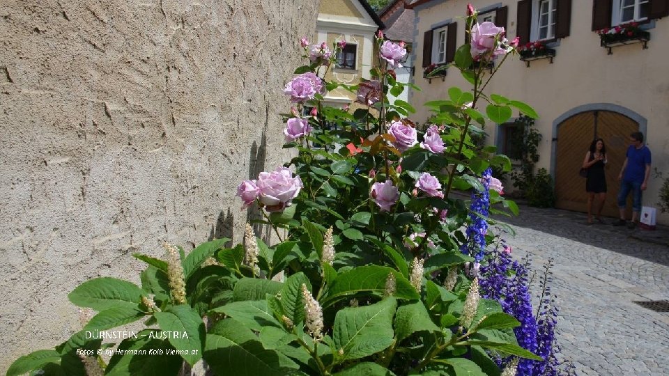 DÜRNSTEIN – AUSTRIA Fotos © by Hermann Kolb Vienna. at 