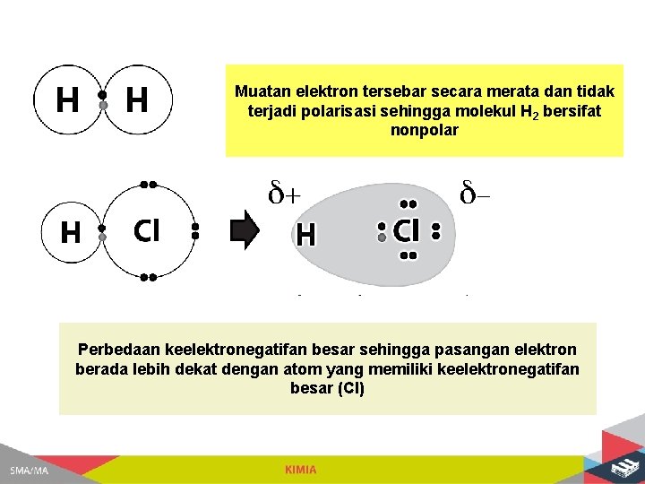 Muatan elektron tersebar secara merata dan tidak terjadi polarisasi sehingga molekul H 2 bersifat