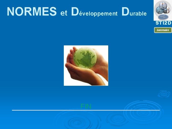NORMES et Développement Durable STI 2 D FIN 
