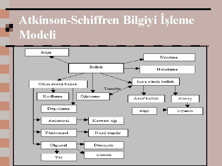 Atkinson-Schiffren Bilgiyi İşleme Modeli 