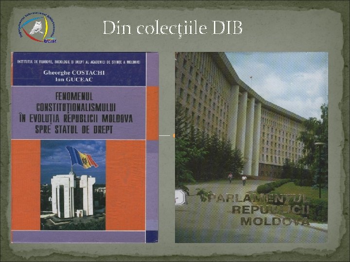 Din colecţiile DIB 