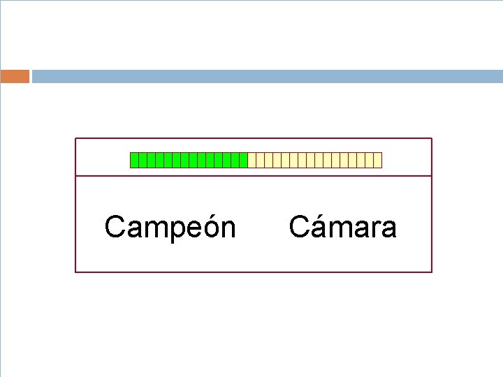 Campeón Cámara Campeón Cámara