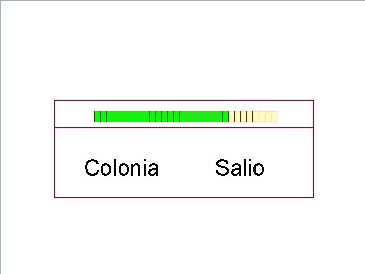 Colonia Salio Colonia Salio