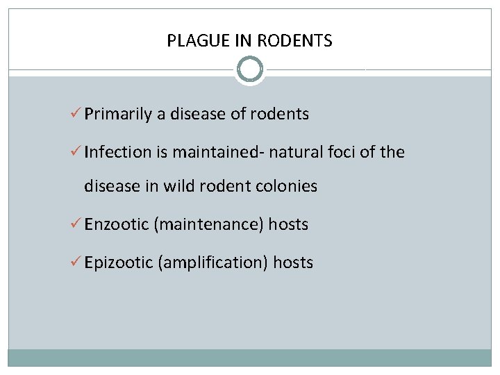 PLAGUE IN RODENTS ü Primarily a disease of rodents ü Infection is maintained- natural