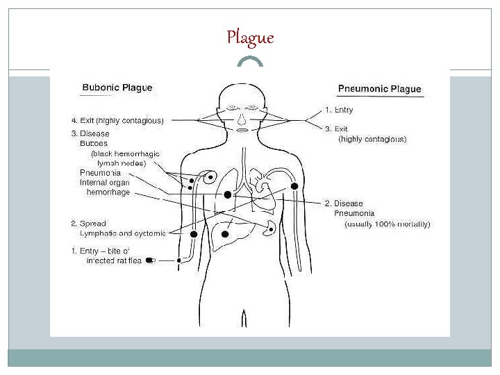 Plague 