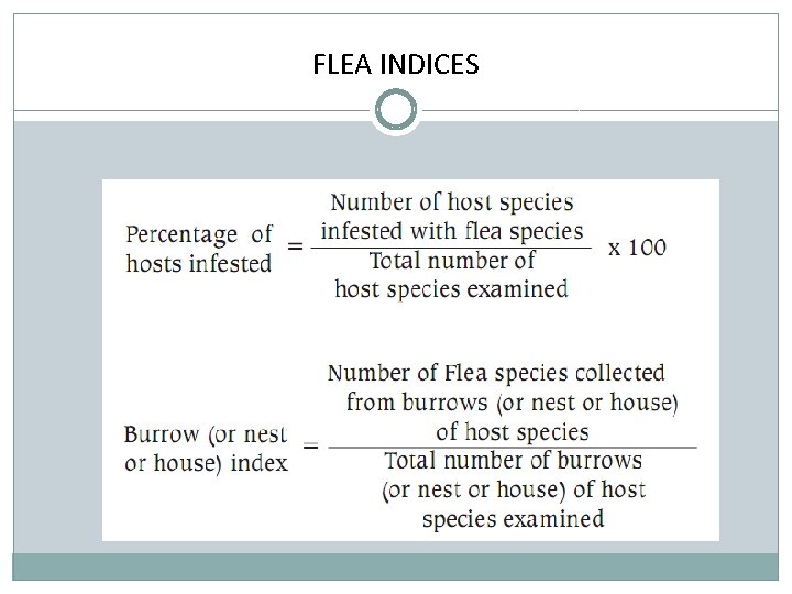 FLEA INDICES 