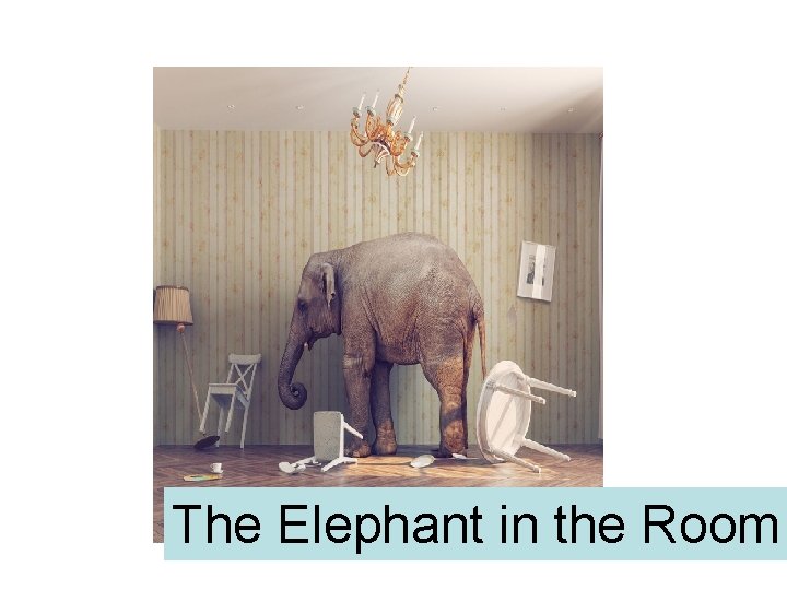 The Elephant in the Room 