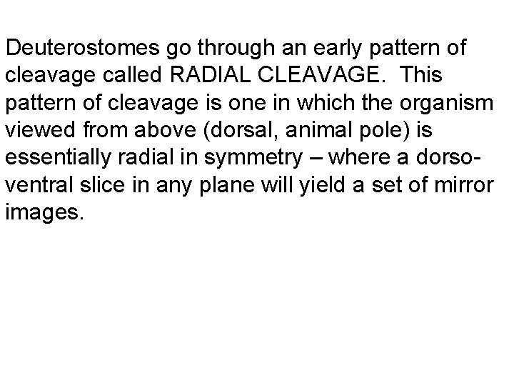 Deuterostomes go through an early pattern of cleavage called RADIAL CLEAVAGE. This pattern of